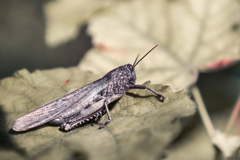 Photograph by Виктория Кузнецова