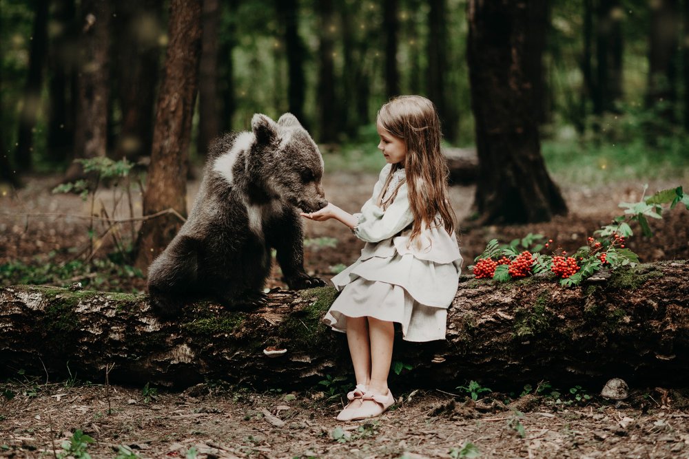 Photograph by Максим Сорокин