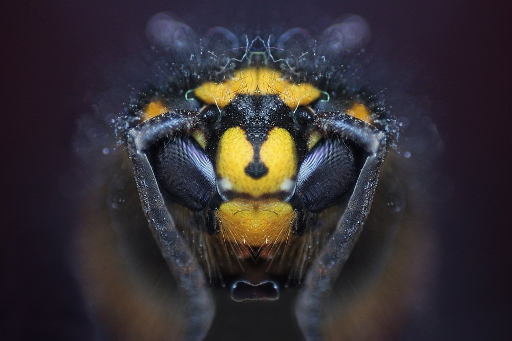 Photograph by Dejan Mržljak