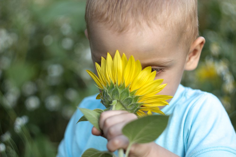Photograph by Светлана Барабашова