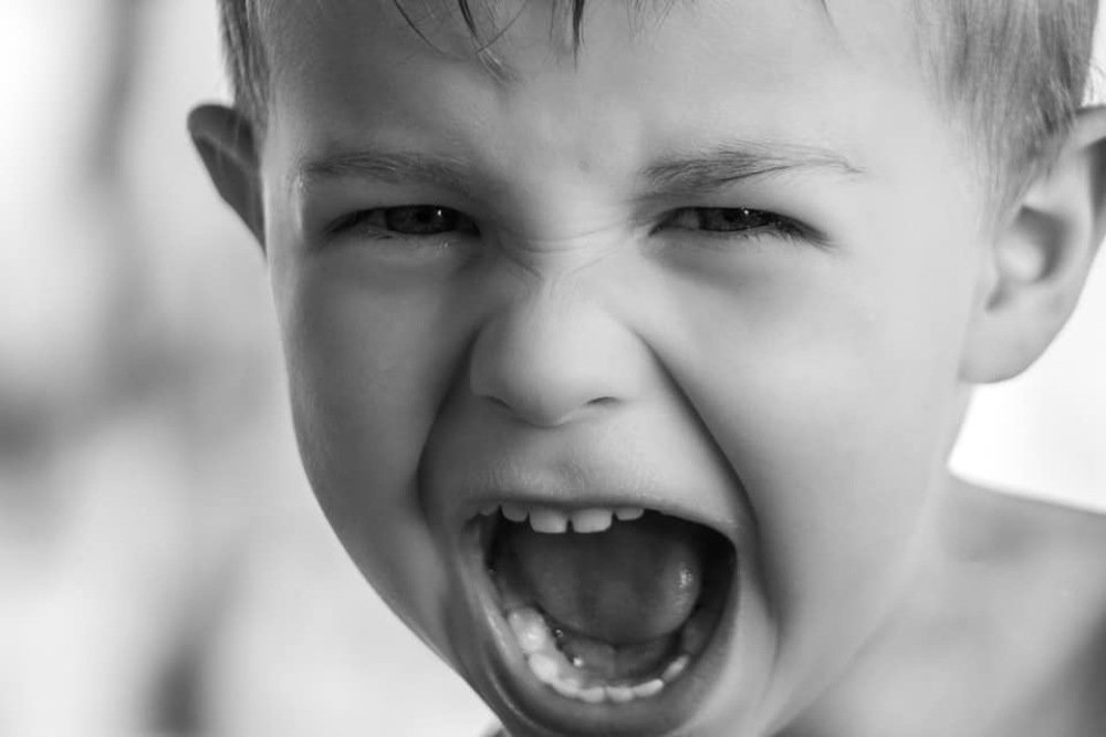 Photograph by Dejan Mržljak