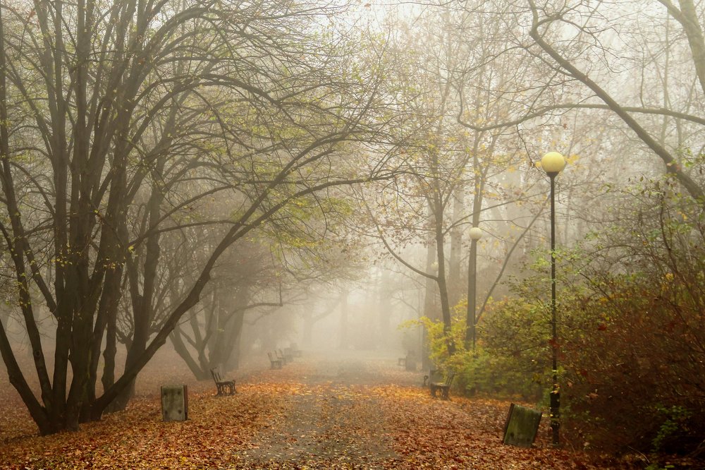 Photograph by Anna Banasiak