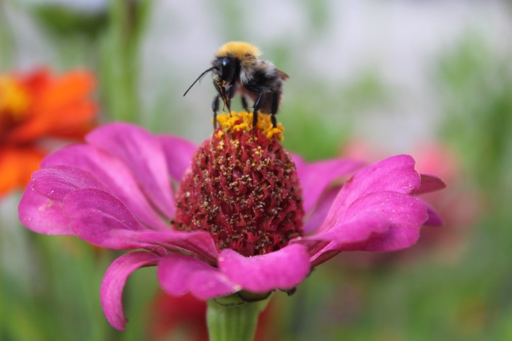 Photograph by Евгения Журавлева