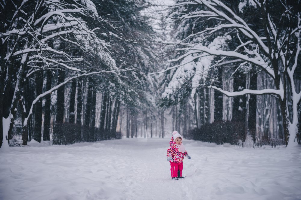 Photograph by Алла Руснак