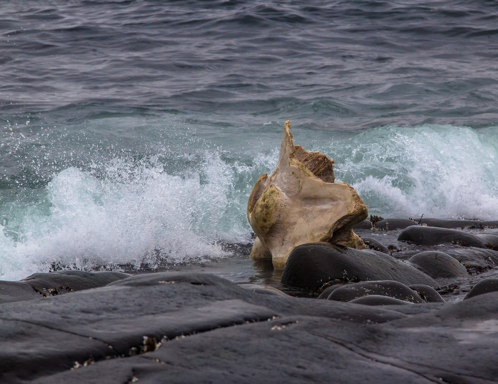 Photograph by Эльвира Сагдиева