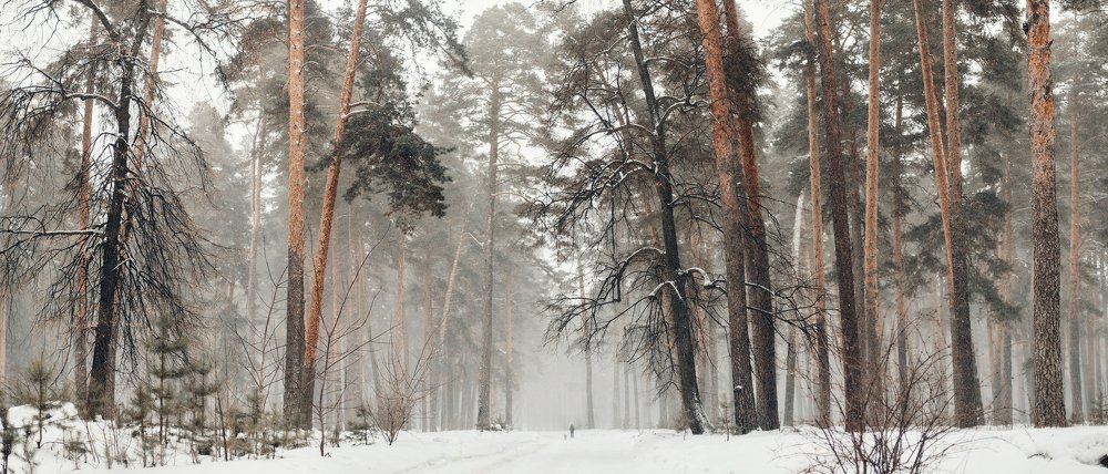 Photograph by Пётр Гатыло