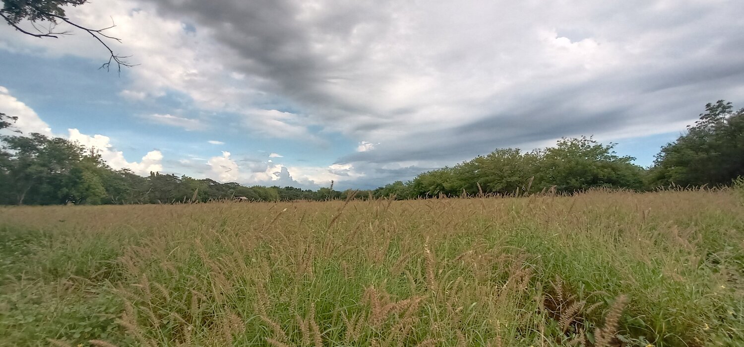 Photo #4081663