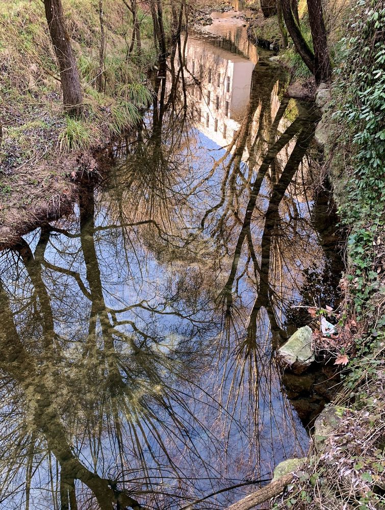 Photograph by Yevgeniya SHEREMET