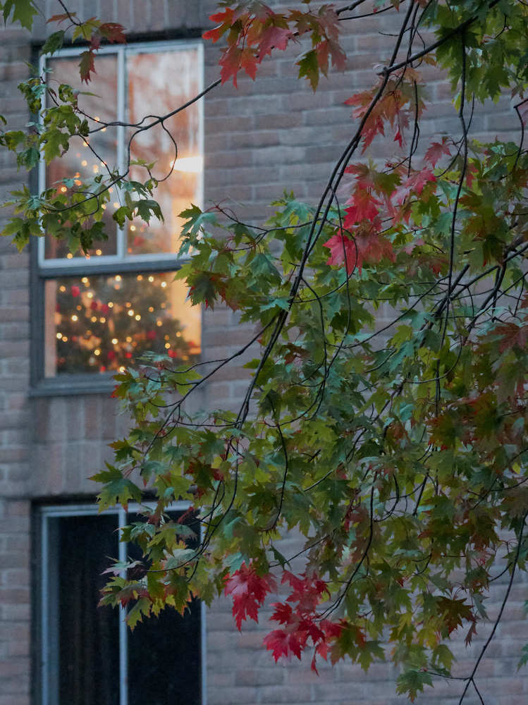 Photograph by Natalia Ghimp