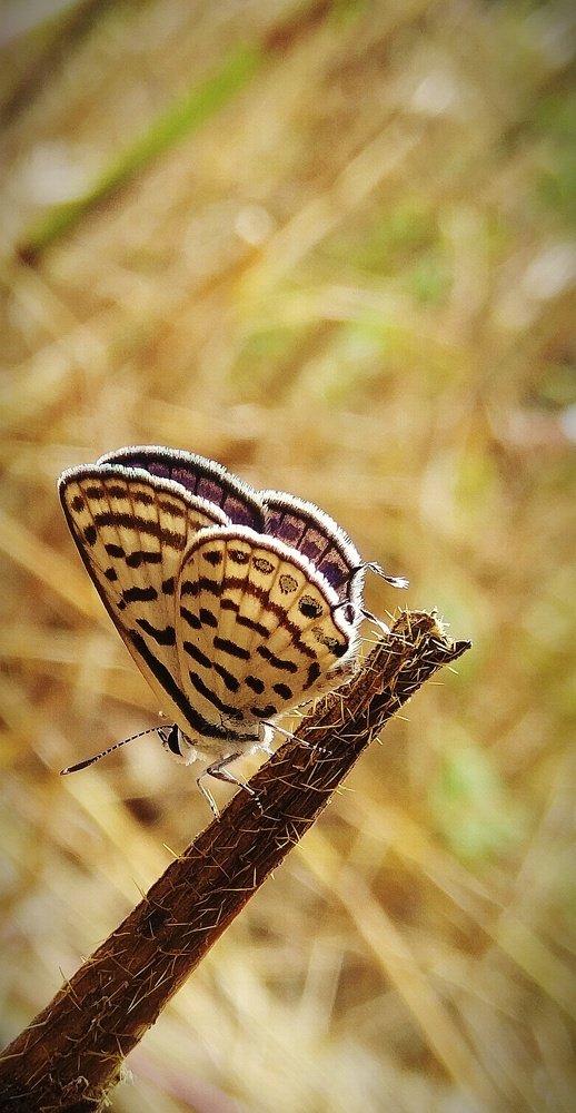Little rest while feeding the tummy
