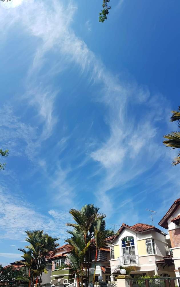 Photograph by Chunhou Poon