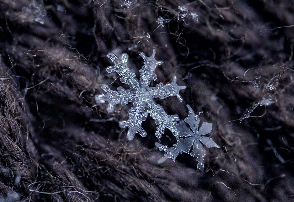 Photograph by Иван Радьков