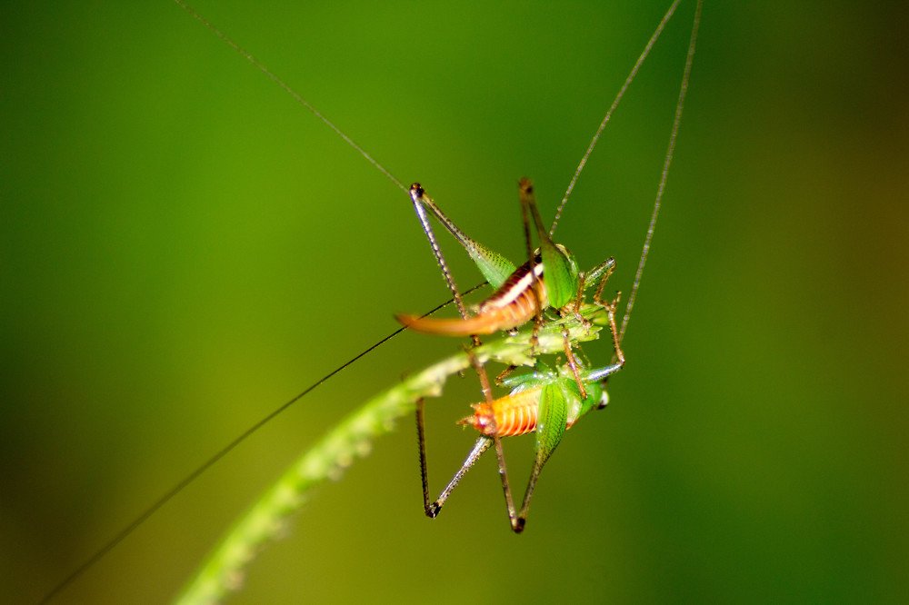 Photograph by Givantha Madushanka