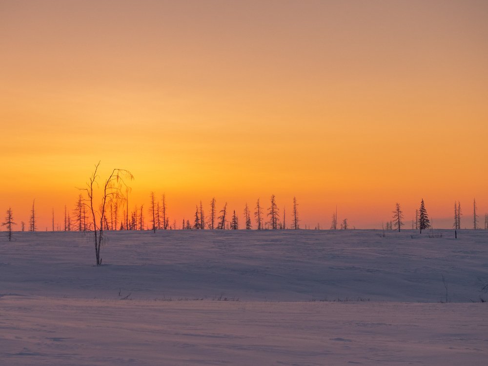 Закат в Заполярье