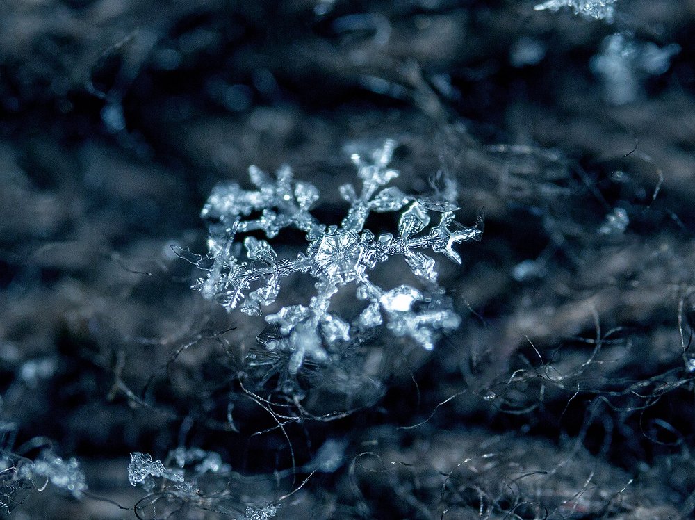 Photograph by Иван Радьков