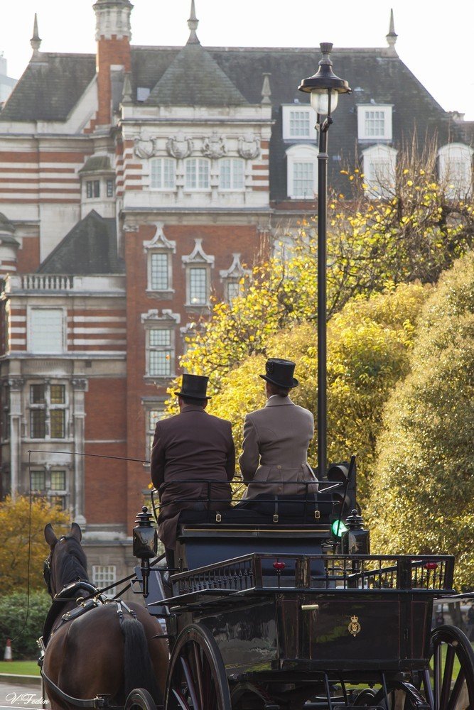 Photograph by Владимир Федин