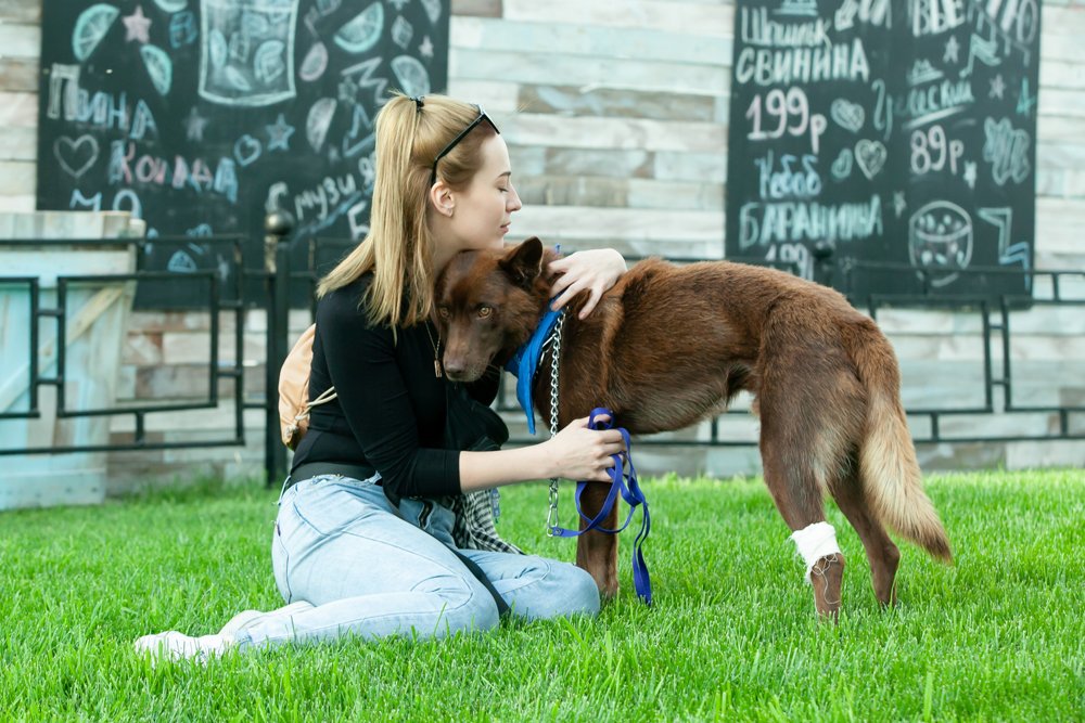 Photograph by Владимир Федин