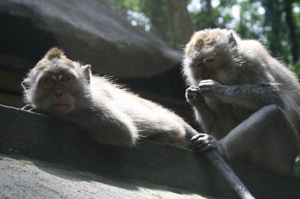 Photograph by Beatriz Acevedo