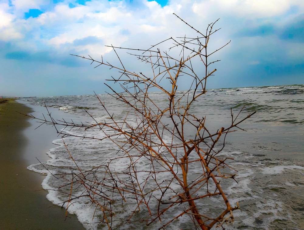 Photograph by Ramin Famildoost