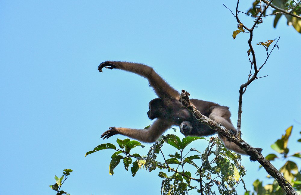 Photograph by Partha Mukherjee