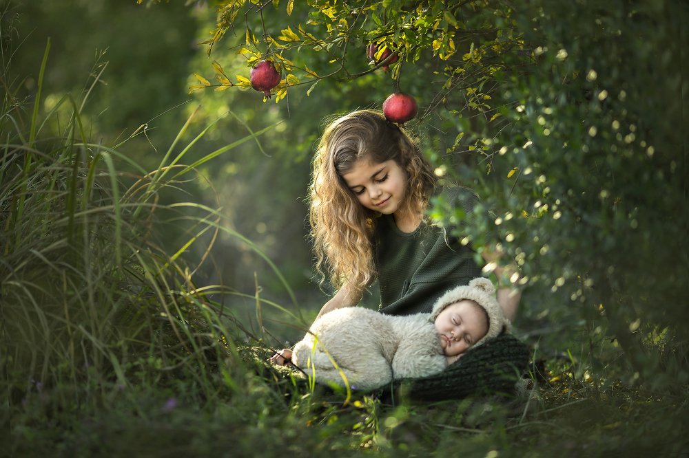 Фотография автора Limor David Samovich