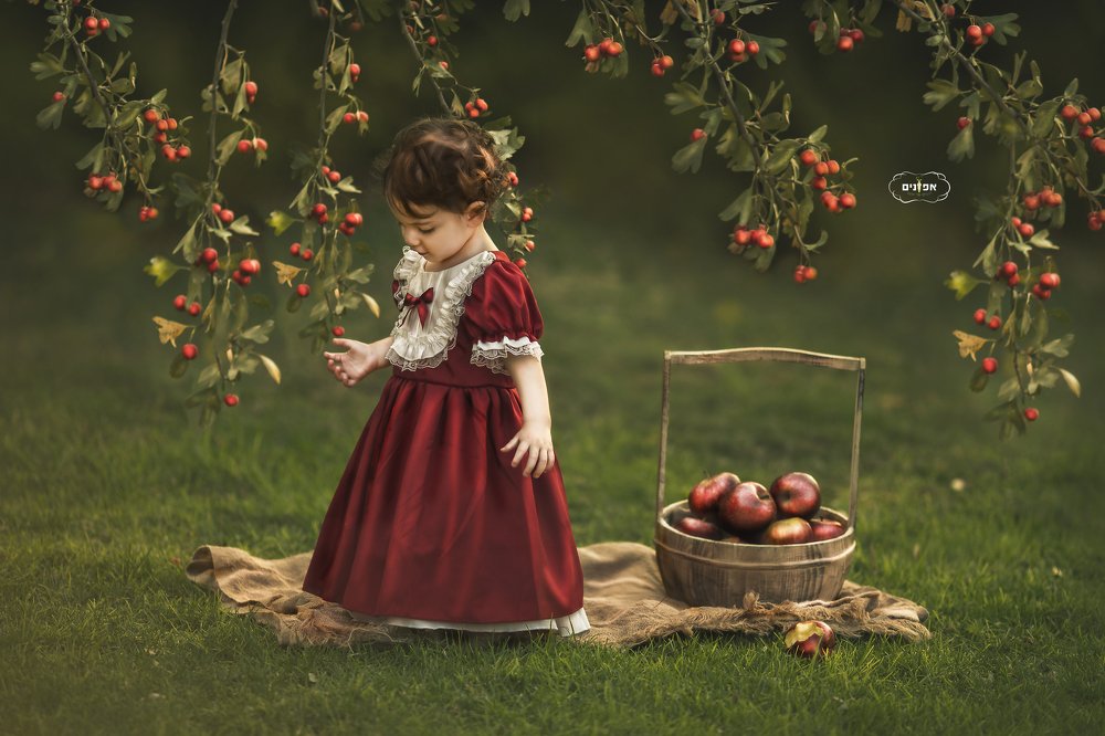 Фотография автора Limor David Samovich