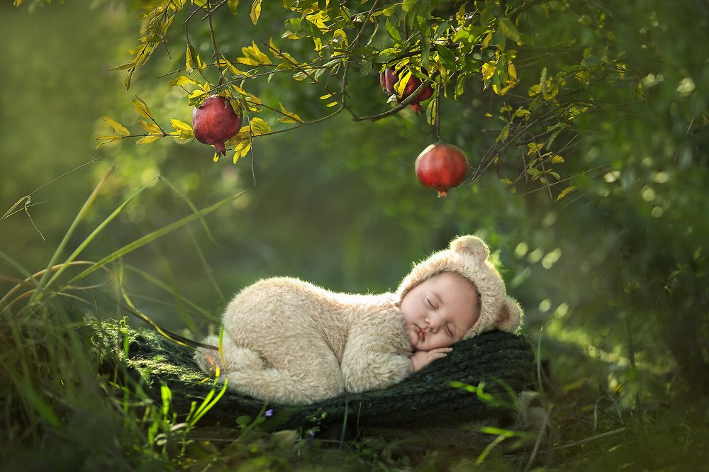 Фотография автора Limor David Samovich