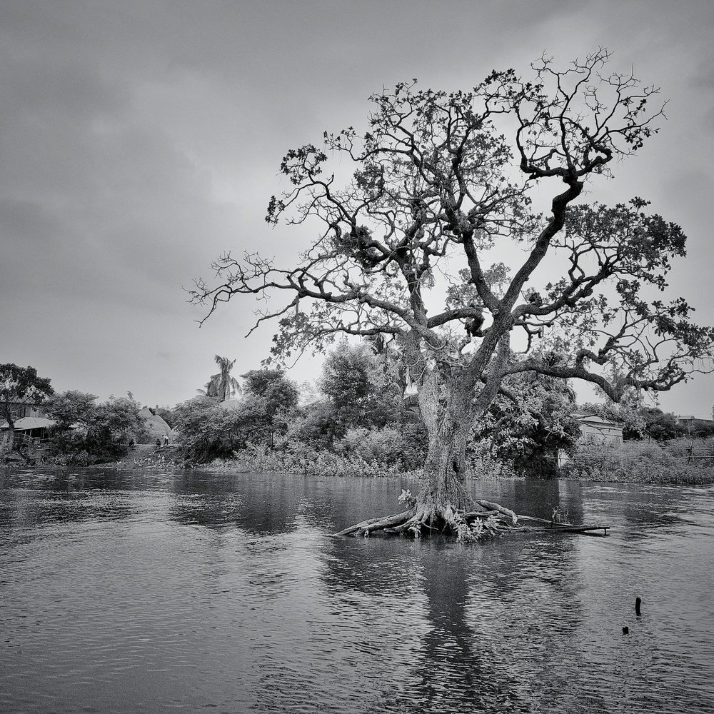 Photograph by sadman tushar