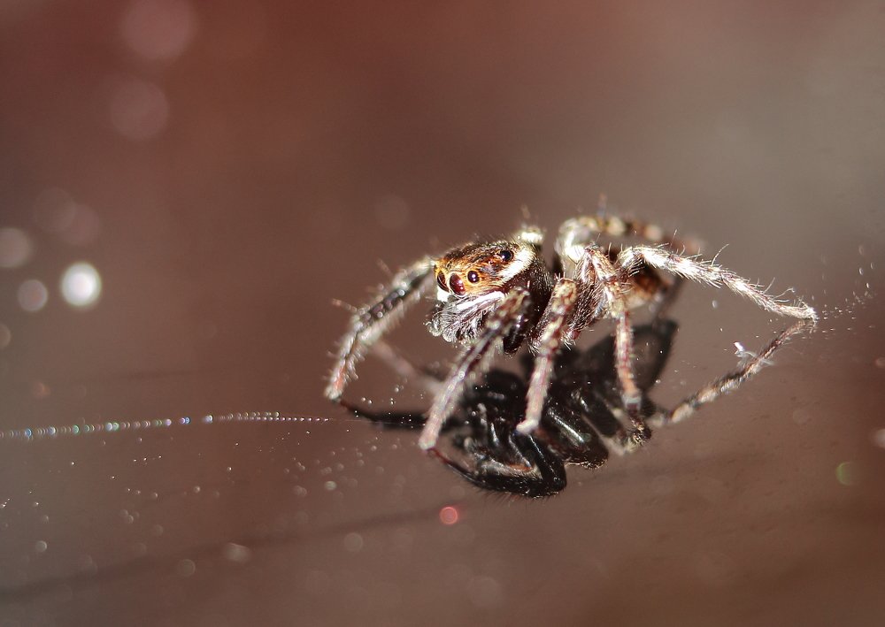 Photograph by Yusuf Buchari