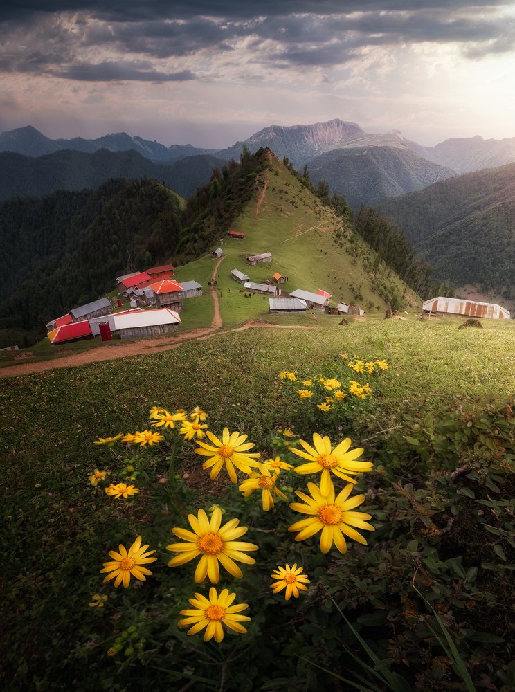Photograph by Hossein Sedghi