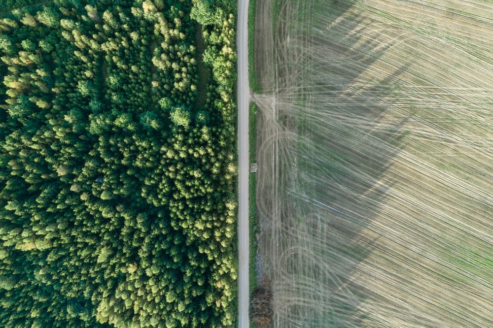 Photograph by Gatis Vilbrants