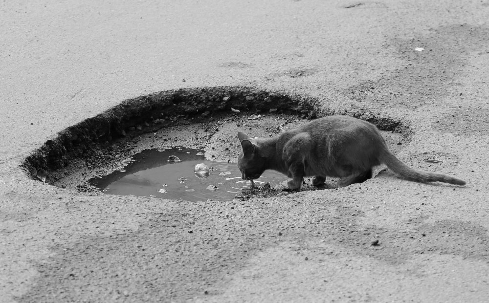 Постапокалипсис