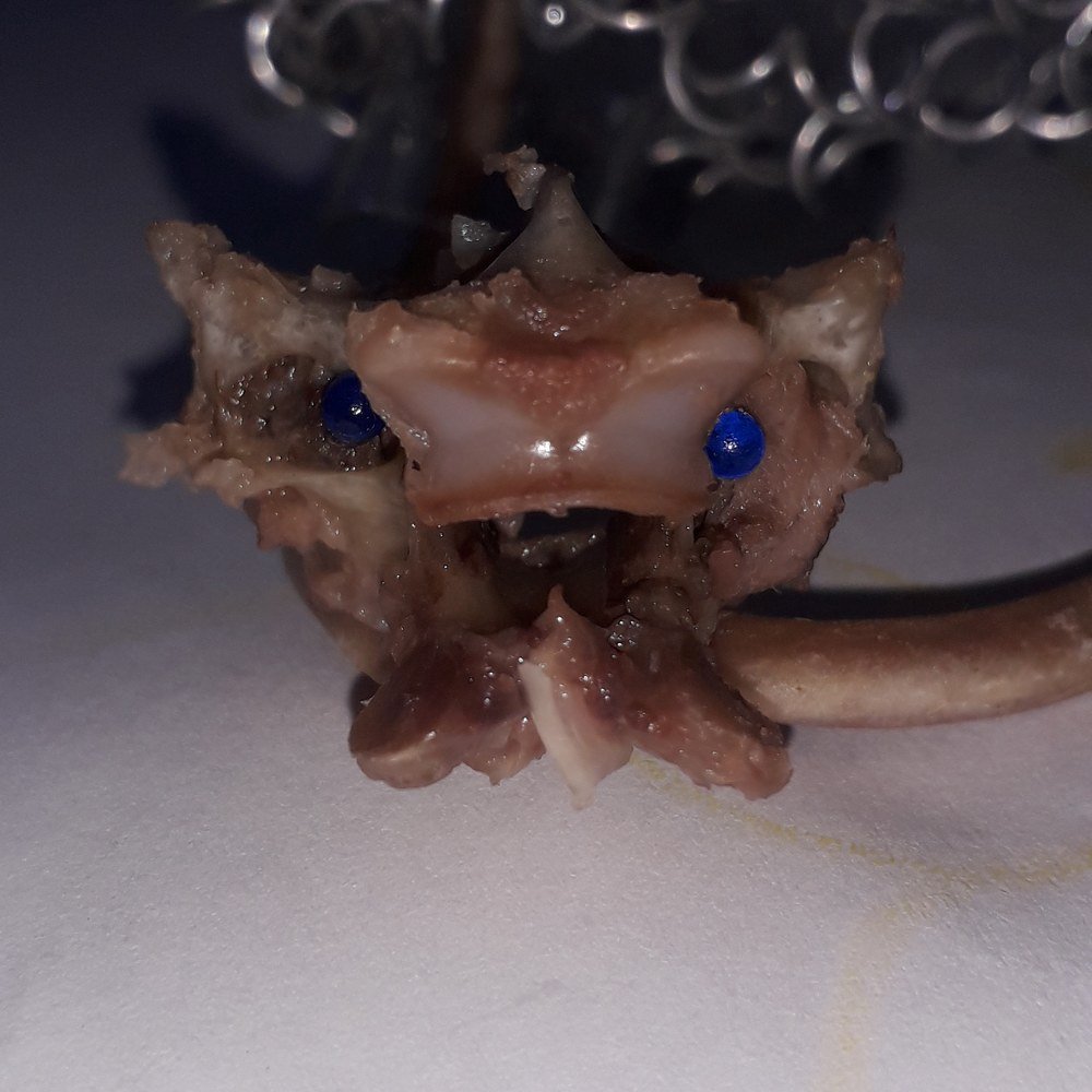 Photograph by Марина