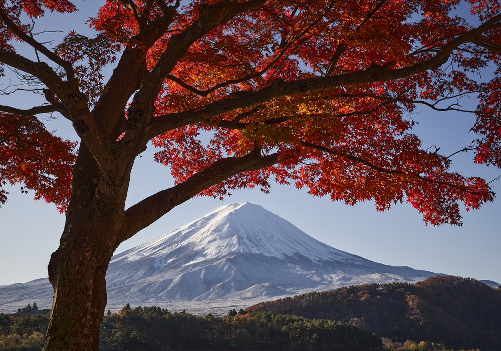 Photograph by Michael Epel