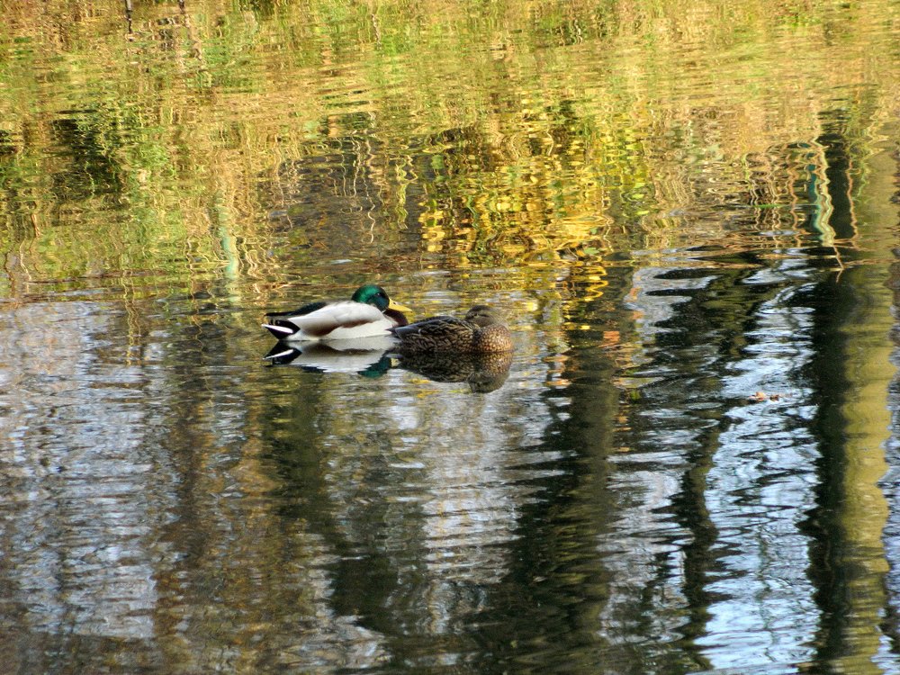 Photograph by Сергей Рапопорт