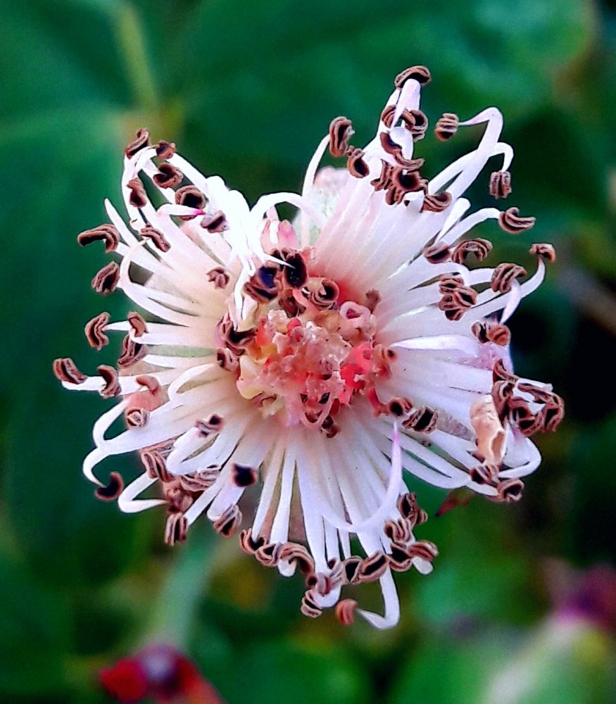 Photograph by Mozhgan Fotouhi