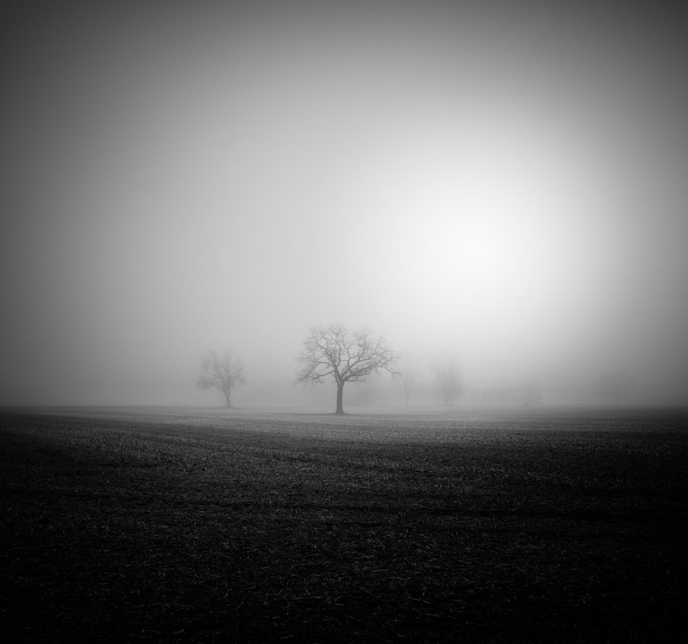 Фотография автора Андрей Степанов