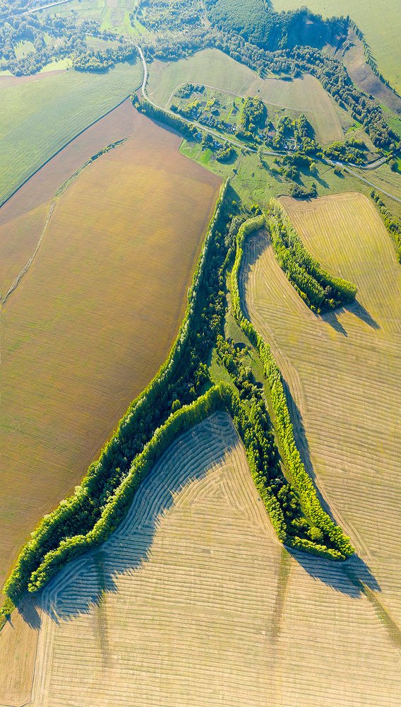 Photograph by Борис Резванцев