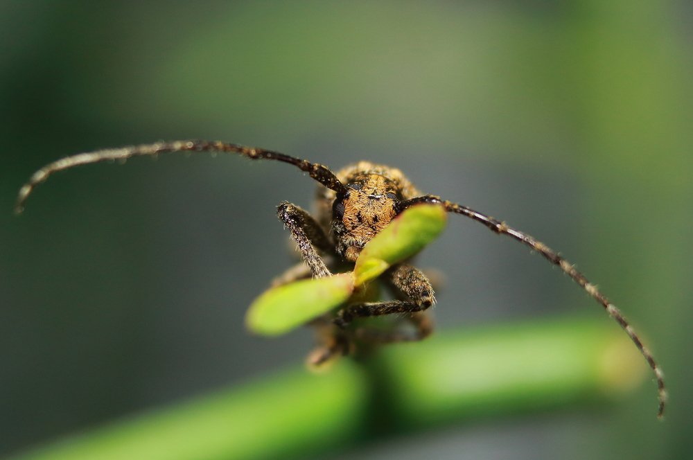 Photograph by Yusuf Buchari