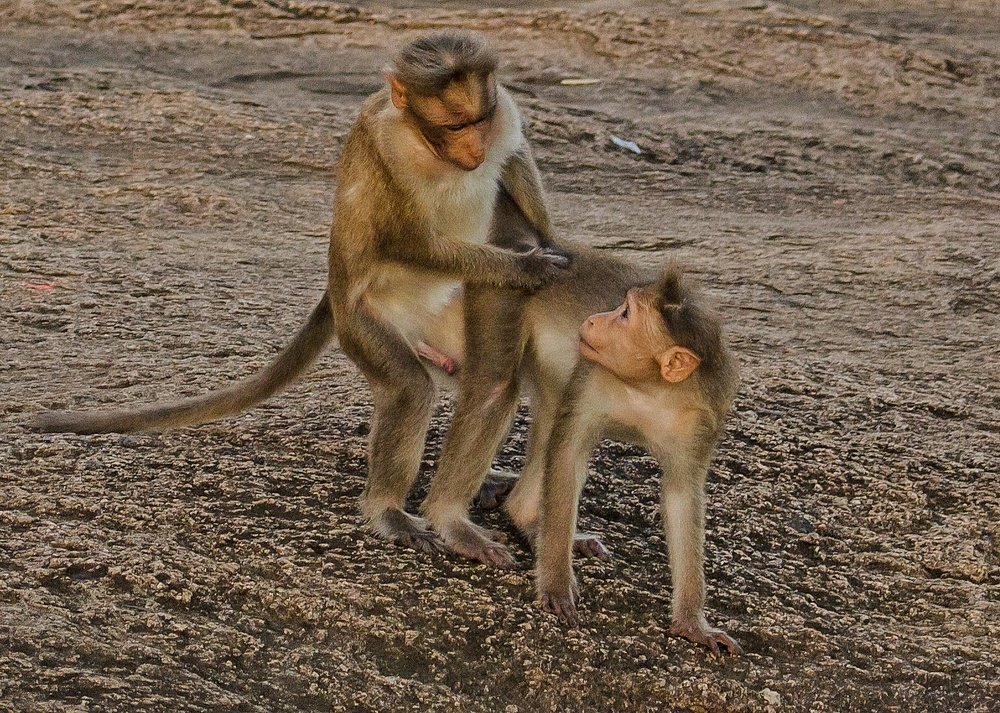 Photograph by Gino Rapheal