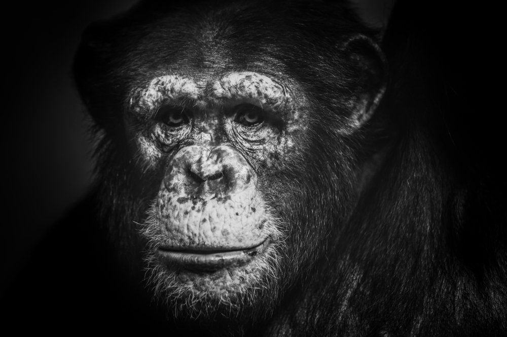 the wisdom of age...