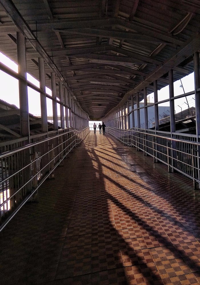 Photograph by Kanhaiya lal Yadav