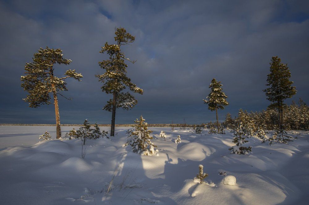 Photograph by Татьяна Борисова