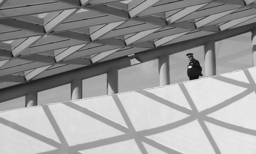 Такие разные линии