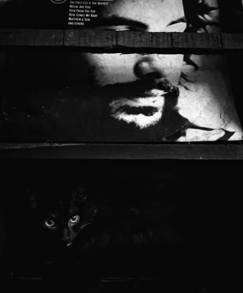 Photograph by Pathan Mostafizur Rahman