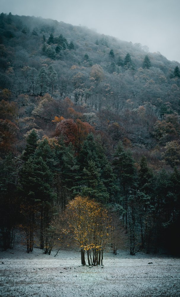 Photograph by Владимир Кондратьев