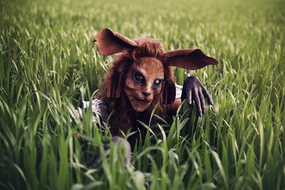 Photograph by Izabela Czarnecka