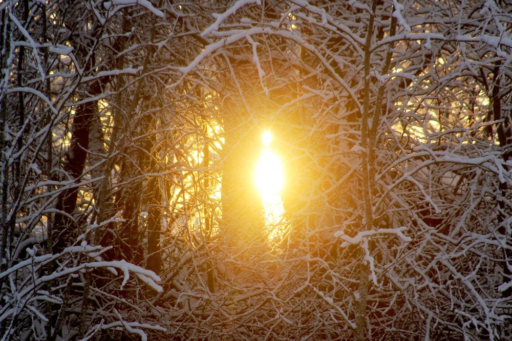 В ярком свете бродит ангел.