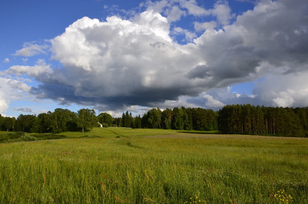 Село Михайловско-музей заповедник