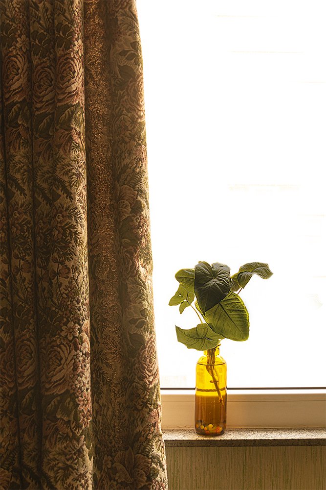 Photograph by shabnammoghadam